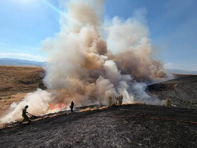 Incendies de Fontainebleau : la faute va à l&rsquo;organisation écocidaire de nos sociétés