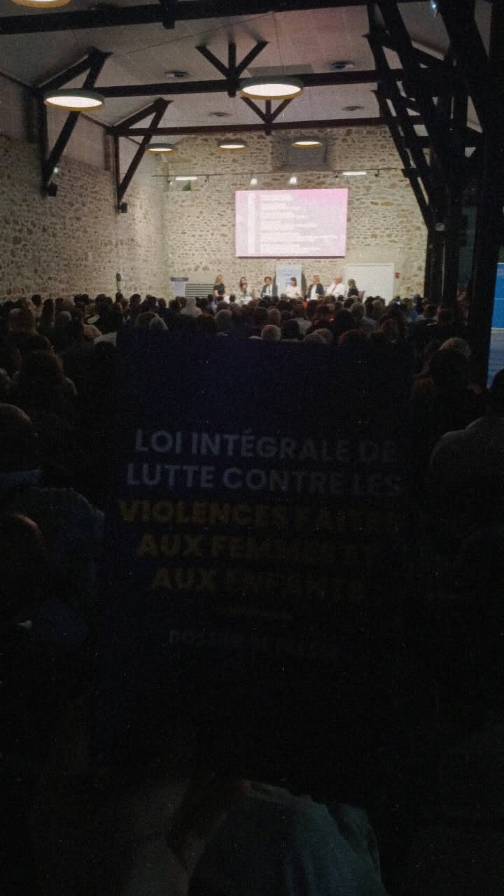 Réunion autour de la loi intégrale contre les VSS